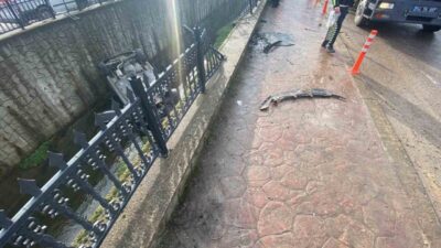 Sakarya’da otomobiliyle su kanalına devrilen ve hastanede tedavi gören sürücü,