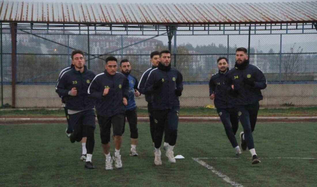 Bölgesel Amatör Lig (BAL) temsilcisi Söğütspor, yarın oynayacağı Gemlikspor maçının