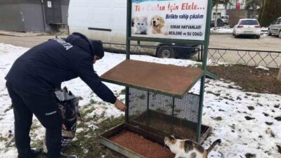 Taşköprü Belediyesi ekipleri tarafından kış mevsimi sebebiyle yiyecek bulmada zorlanan
