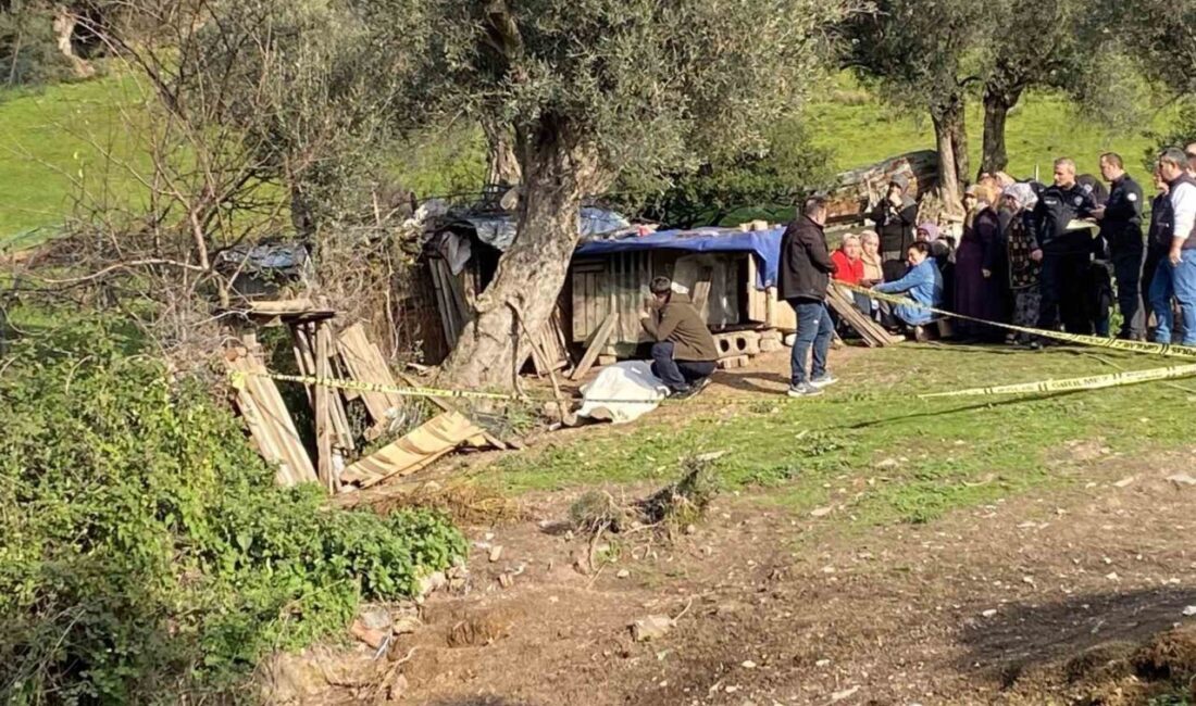 Tavuklarına yem vermek için gittiği bahçede ölü bulundu Kocaeli’de tavuklarına yem vermek için evinin 200 metre uzağındaki bahçesine