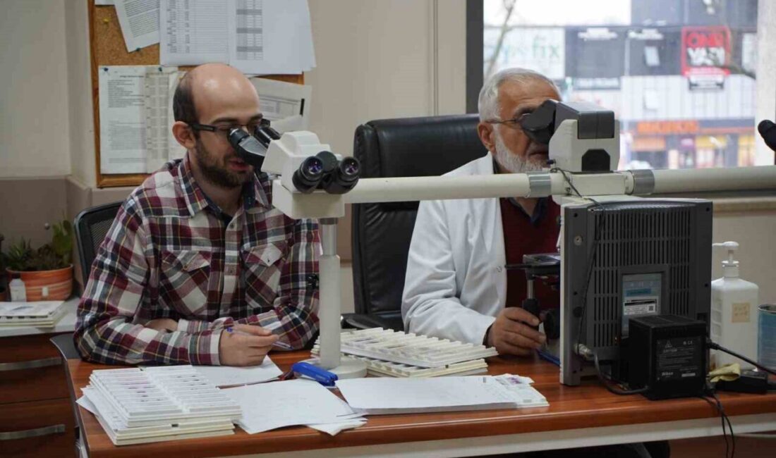 Sakarya Eğitim ve Araştırma Hastanesi Patoloji Bölümü Öğretim Üyesi Prof.