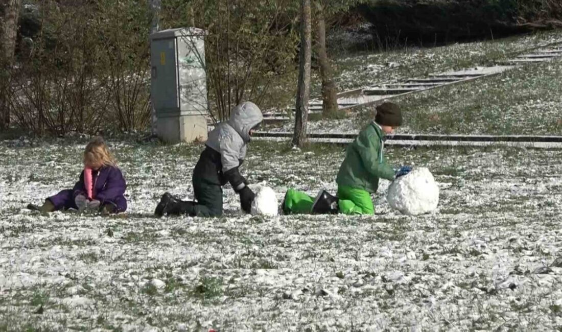 Yalova’da yeni yılla birlikte kar yağışı kentin birçok yerinde etkili