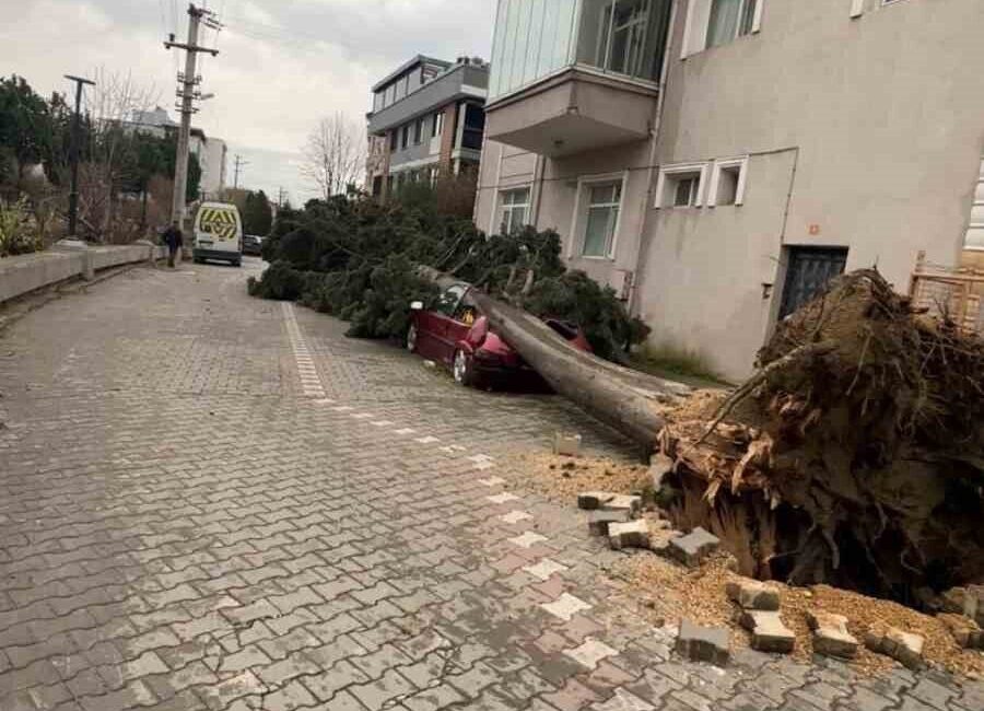 Yalova’da etkili olan fırıtına hayatı olumsuz yönde etkiliyor. Fırtınada çatılar,