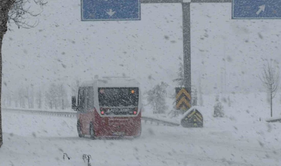 Yoğun kar kenti beyaza bürüdü Düzce’de sabah saatlerinde etkili olan kar yağışı kenti beyaza bürürken,