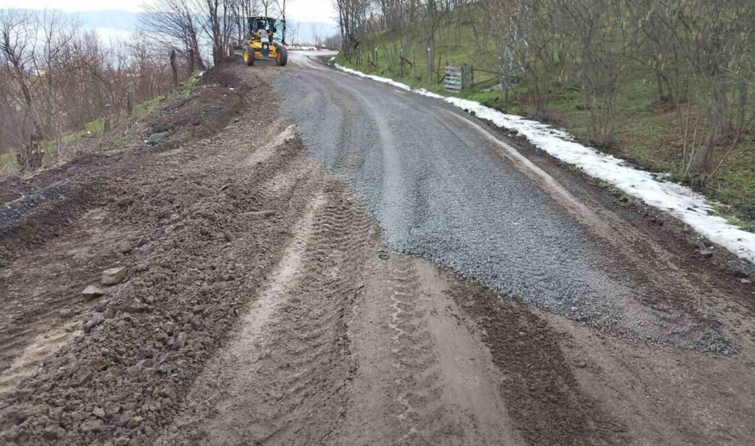 DÜZCE (İHA) – Düzce İl Özel İdaresi tarafından Merkez ilçeye