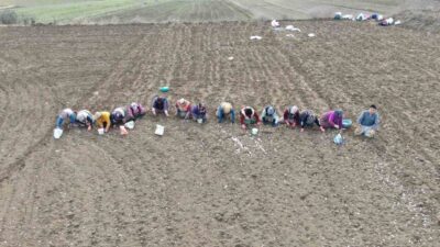 İstanbul’daki yoğun yaşam temposundan uzaklaşmak isteyen Elife Öz, memleketi Kastamonu’nun