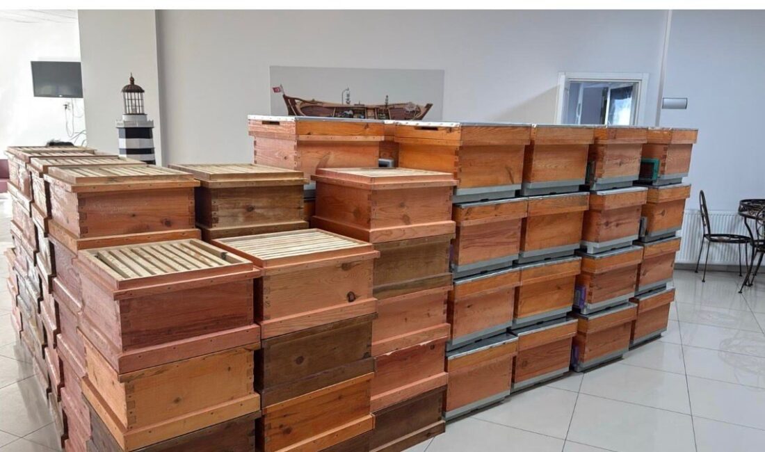 Gölcük Belediyesi, bal üretimini artırmak ve arıcılığı teşvik etmek amacıyla