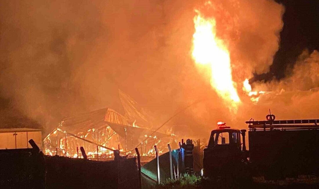 Bilecik’te gece saatlerinde bir bağ evinde başlayan yangın yanındaki diğer