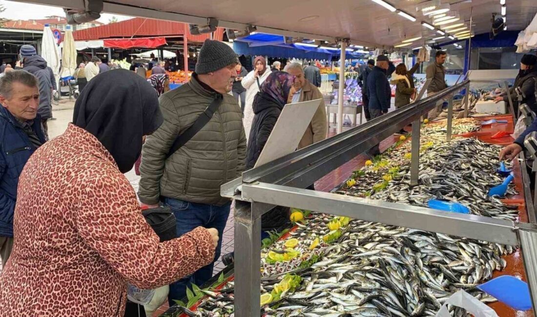 Bolu’da halk pazarındaki balık tezgahlarında haftalardır hamsi yokluğu devam ederken,
