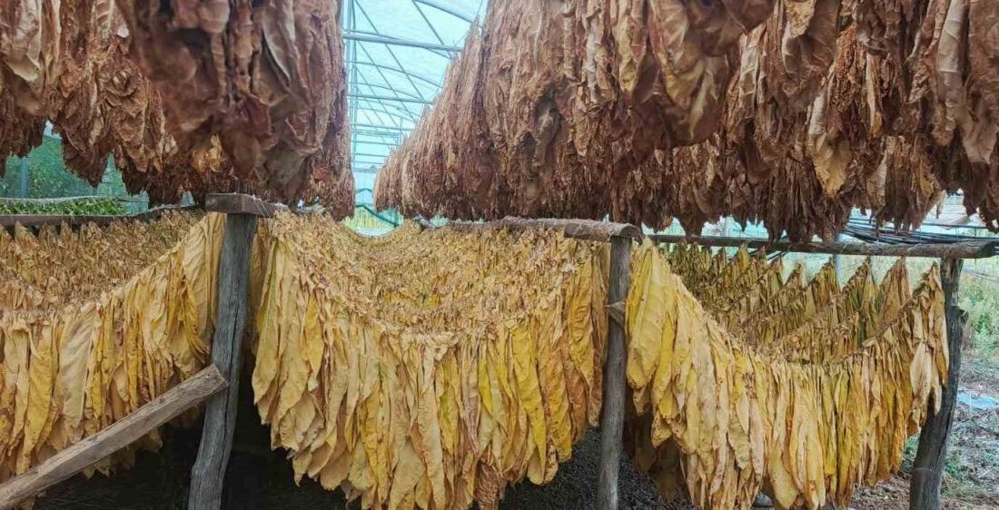 Pazaryeri Ziraat Odası Başkanı Abdullah Duman, ilçelerinde üreticiye alternatif hamle