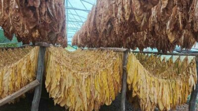 Pazaryeri Ziraat Odası Başkanı Abdullah Duman, ilçelerinde üreticiye alternatif hamle