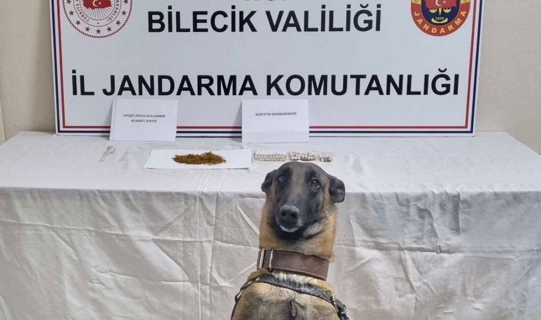 Bilecik’in Gölpazarı ilçesinde jandarma ekiplerince düzenlenen uyuşturucu operasyonunda 1 şahıs