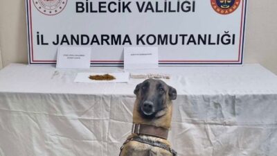 Bilecik’in Gölpazarı ilçesinde jandarma ekiplerince düzenlenen uyuşturucu operasyonunda 1 şahıs