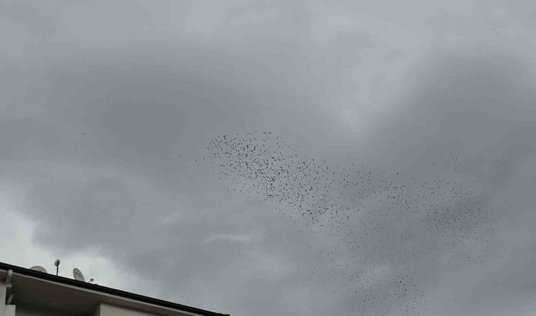 DÜZCE(İHA) – Düzce’de sabahın erken saatlerinde bir araya gelen binlerce