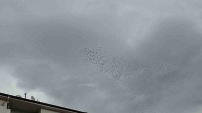 DÜZCE(İHA) – Düzce’de sabahın erken saatlerinde bir araya gelen binlerce