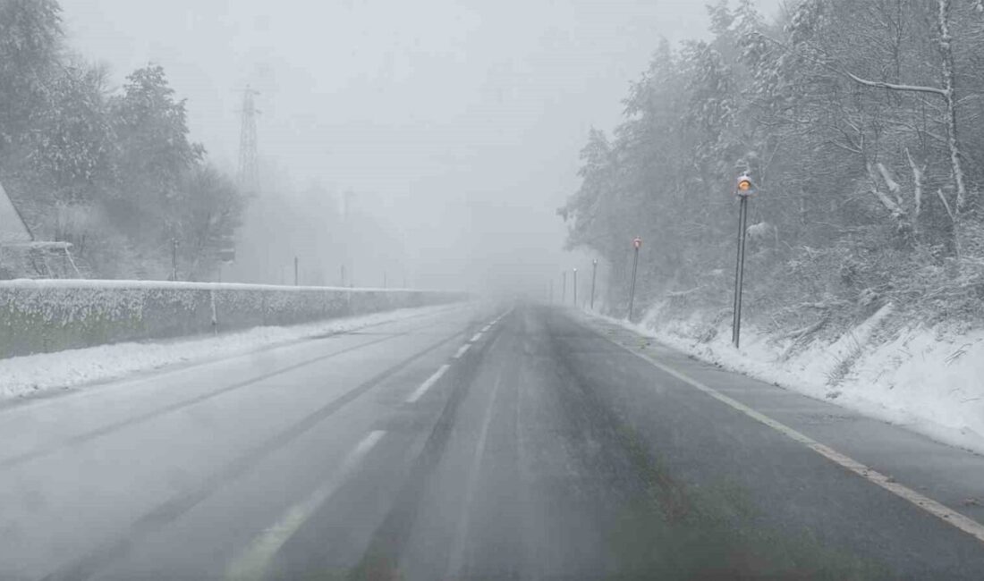 Türkiye’nin en önemli geçiş güzergahlarından biri olan D-100 karayolu Bolu