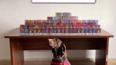 Bolu’da durdurulan bir araçta 150 adet elektronik sigara ele geçirilirken