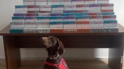 Bolu’da jandarma ekiplerince gerçekleştirilen arama faaliyetlerinde bir araçta 36 bin