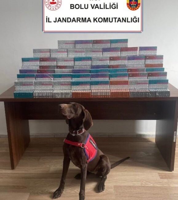 Bolu’da jandarma ekiplerince gerçekleştirilen arama faaliyetlerinde bir araçta 36 bin