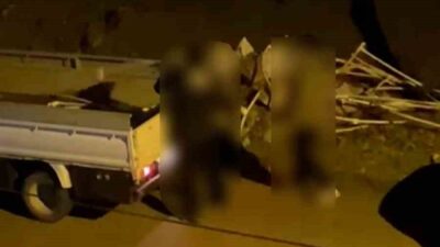 Bolu’da bir vatandaşın ihbarı üzerine harekete geçen zabıta ekipleri, boş