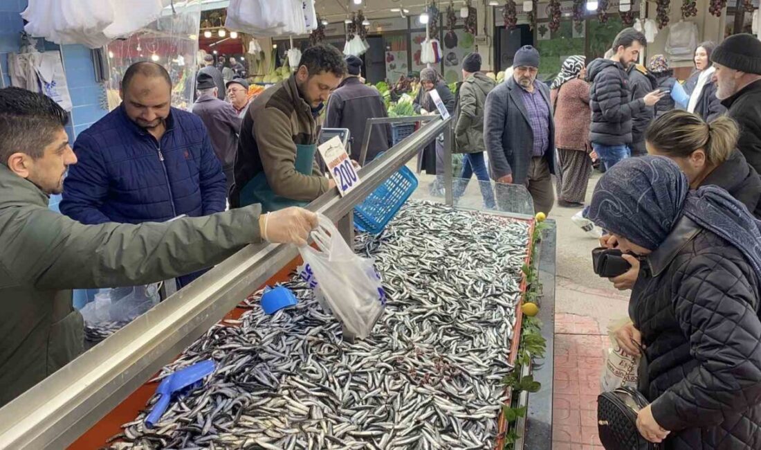 Bolu’da halk pazarındaki balık tezgahlarında bir haftadır hamsi bolluğu sürerken,