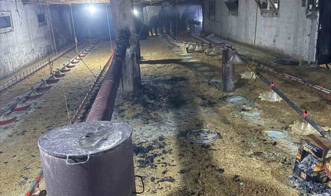 Bolu’nun Göynük ilçesinde bir tavuk kümesinde çıkan yangın, ekiplerin hızlı