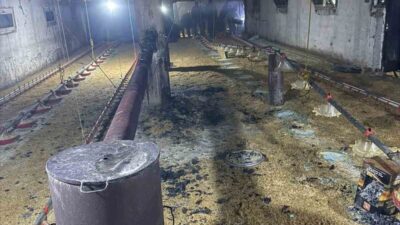 Bolu’nun Göynük ilçesinde bir tavuk kümesinde çıkan yangın, ekiplerin hızlı