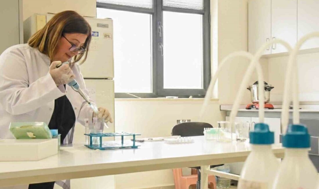 Bilecik Şeyh Edebali Üniversitesi’nde (BŞEÜ) görev yapan Prof. Dr. Ülküye