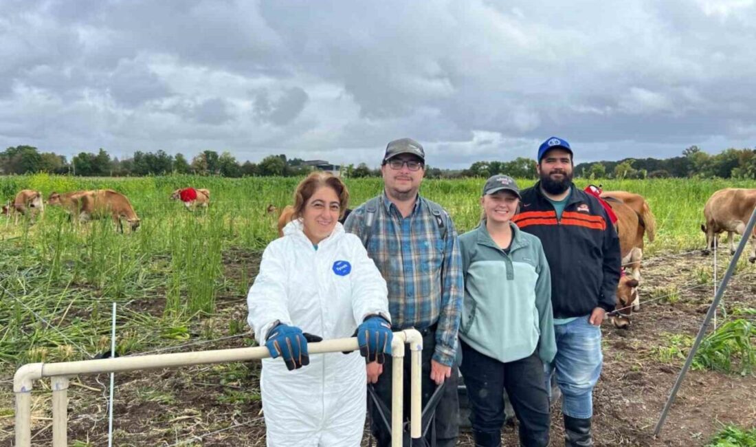 Bilecik Şeyh Edebali Üniversitesi (BŞEÜ) bünyesinde yürütülen çalışma kapsamında, sera