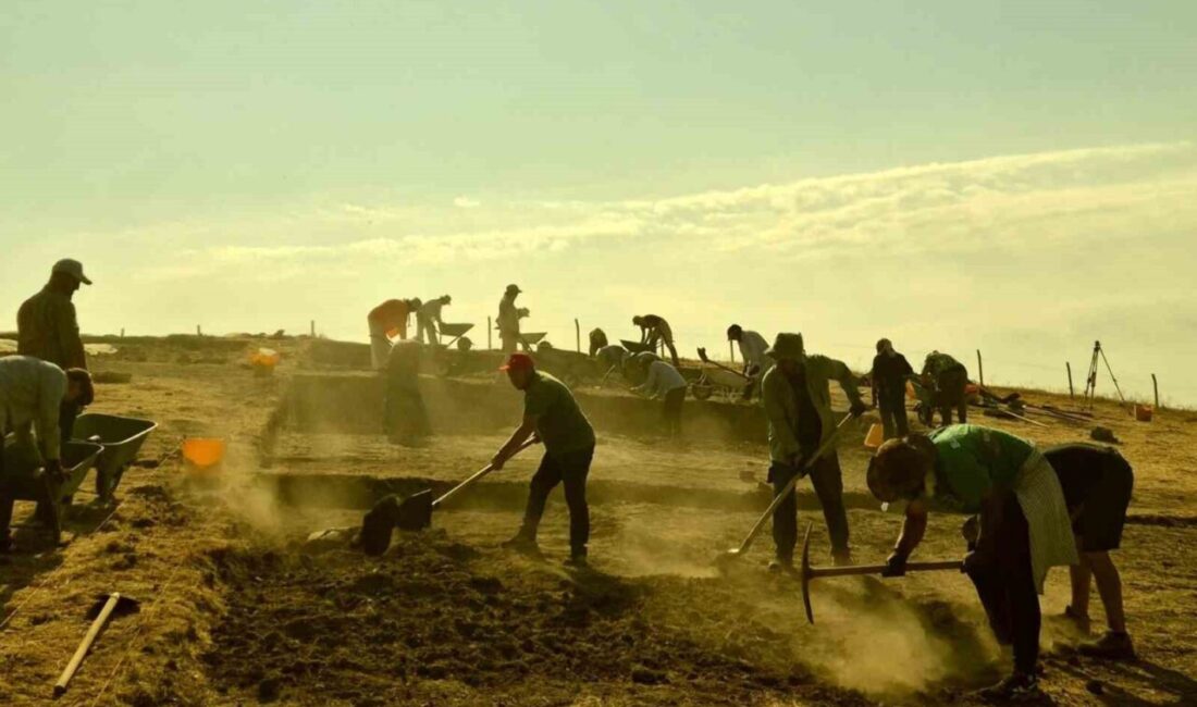 Bilecik Şeyh Edebali Üniversitesinin (BŞEÜ) Tavşanlı Höyük Kazısı, 2025 yılı