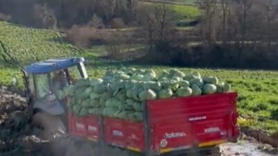 Sakarya’nın Kaynarca ilçesinde ilçesinde lahana yüklü römork çamura saplandı. Traktörlerin
