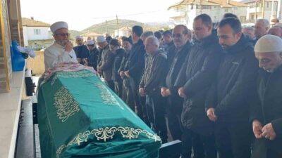 Sakarya’nın Pamukova ilçesi D-650 karayolunda yolun karşısına geçerken otomobilin çarpması