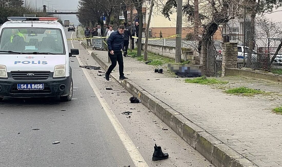 Sakarya’nın Pamukova ilçesi D-650 kara yolunda yolun karşısına geçmek isteyen