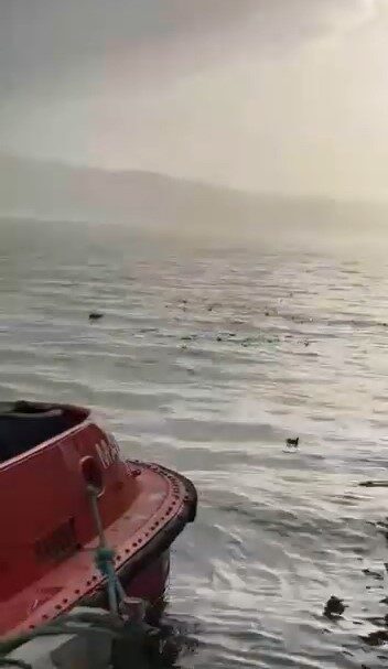 Kocaeli’nin Körfez ilçesinde bulunan DP World Evyap limanı adeta şehir