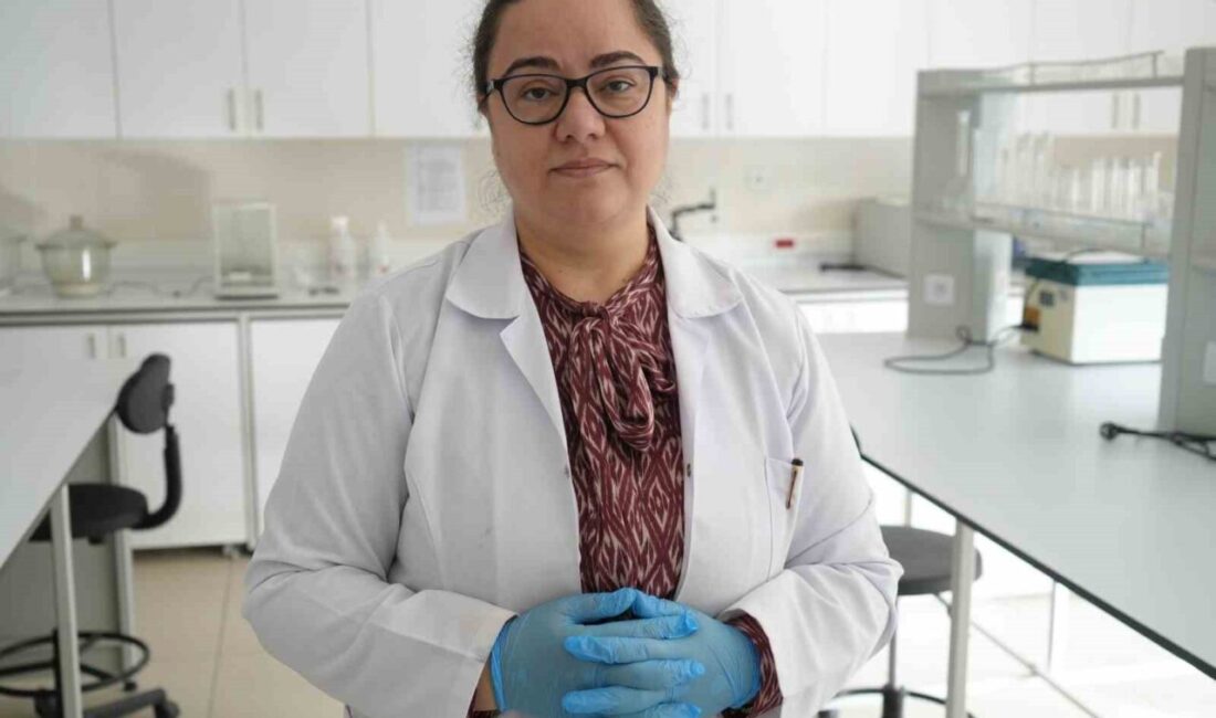 Kastamonu Üniversitesi Sağlık Bilimleri Fakültesi Beslenme ve Diyetetik Bölümü öğretim