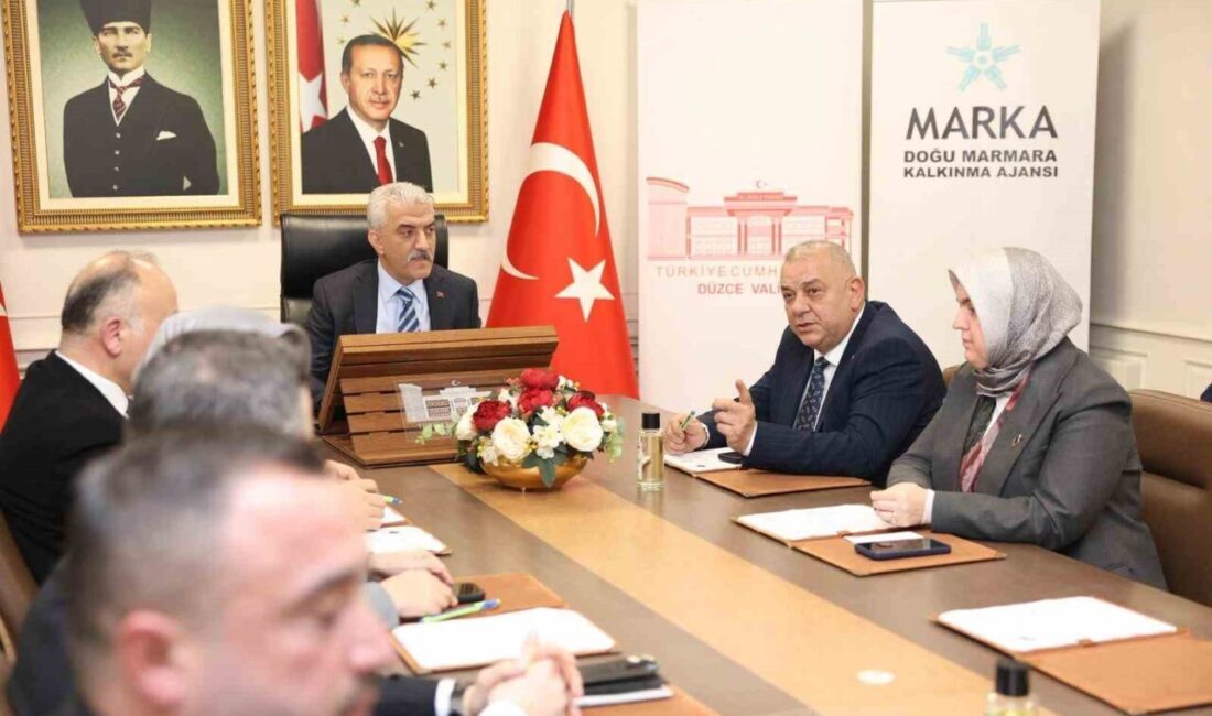 Düzce Ticaret ve Sanayi Odası (DTSO) tarafından geliştirilen Engelli İstihdam