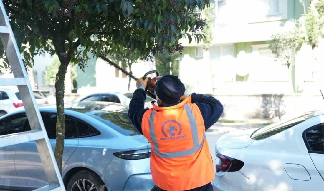 DÜZCE (İHA) – Düzce Belediyesi Park ve Bahçeler Müdürlüğü ekipleri,