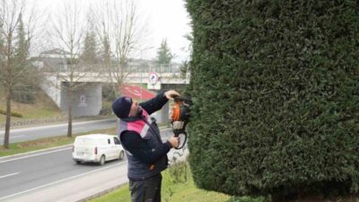 DÜZCE (İHA) – Düzce Belediyesi Park ve Bahçeler Müdürlüğü ekipleri