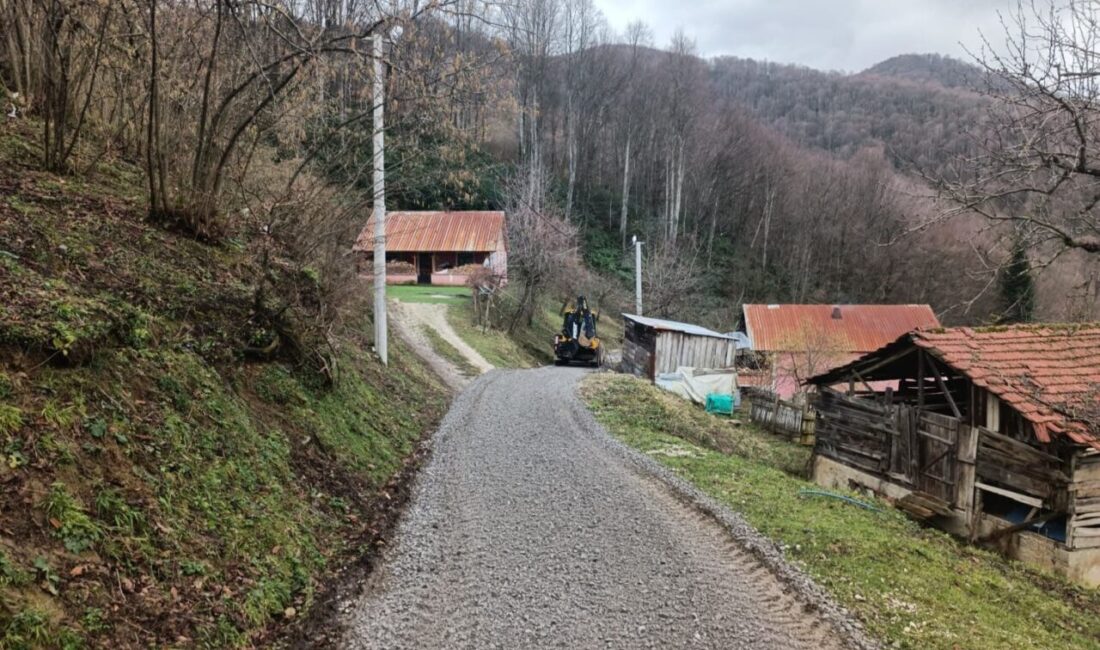 DÜZCE (İHA) – Düzce Gölyaka İlçe Özel İdare Müdürlüğü ekipleri