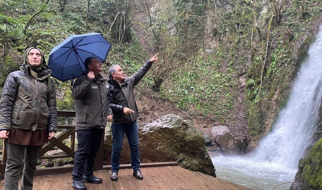 Doğa Koruma ve Milli Parklar Bölge Müdürü Ahmet Çörtük, Düzce