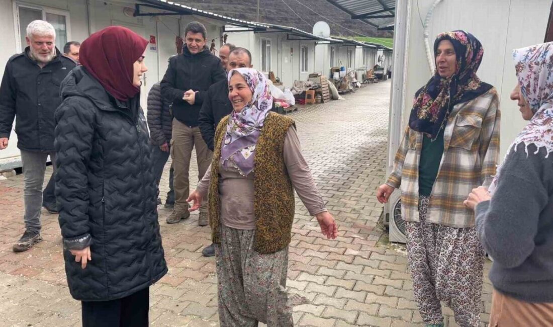Bilecik’in Gölpazarı ilçesine bağlı Köprücek Köyü’nde orman yangınından zarar gören