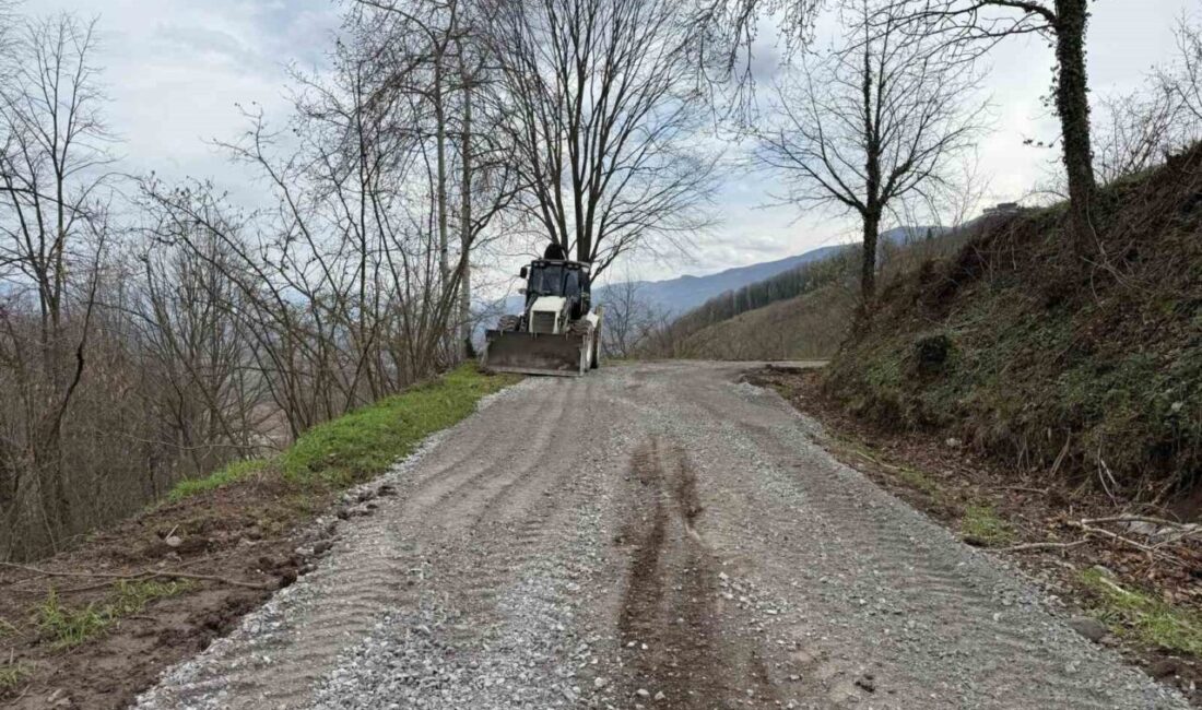 DÜZCE (İHA) – Gölyaka’da Hamamüstü ve Muhapdede köylerinde yürütülen malzemeli