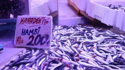 Karadeniz’de bir süredir sıcaklıklar nedeniyle rotasını Gürcistan sularına çeviren hamsi,