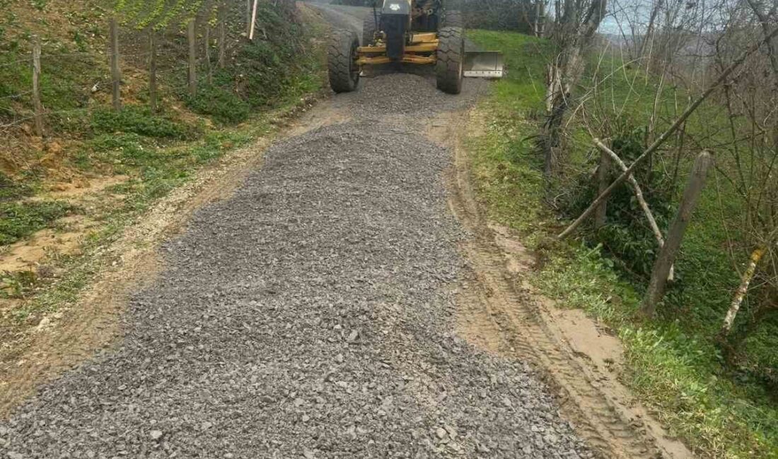 DÜZCE (İHA) – Düzce İl Özel İdaresi Yol ve Ulaşım