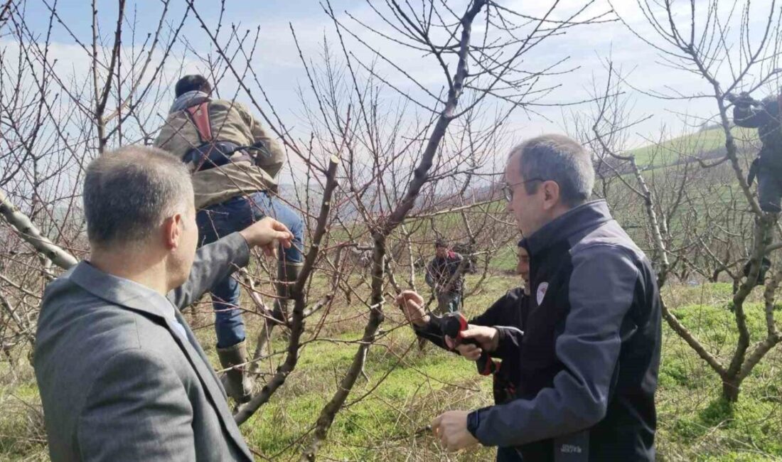 Bilecik’in Osmaneli ilçesine bağlı Çerkeşli Köyü’nde üreticilerle bir araya gelinerek