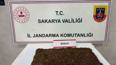 Sakarya’nı Sapanca ilçesinde jandarma ekiplerince düzenlenen uyuşturucu operasyonunda gözaltına alınan
