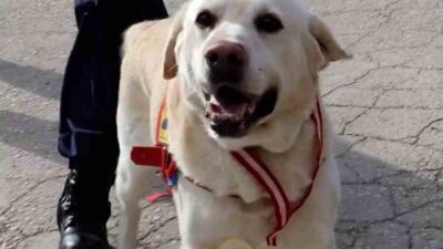 Bolu İl Jandarma Komutanlığı bünyesinde 10 yıldır görev yapan iz