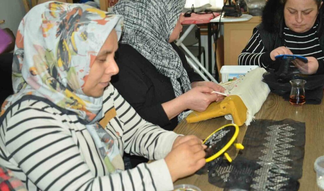 Kastamonu’nun Hanönü ilçesinde Halk Eğitim Merkezi Müdürlüğü bünyesinde açılan kurslara