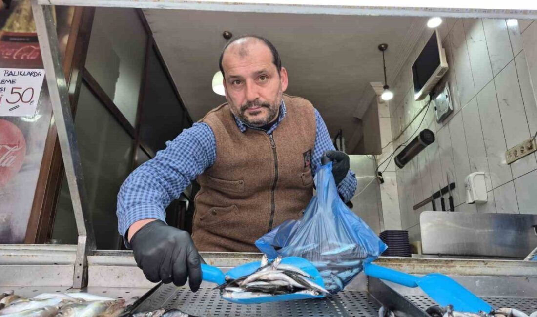 Düzce’de sezon başında bolca avlanan hamsinin azalmasıyla tezgahların yeni gözdesi