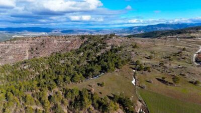 Kastamonu’nun İhsangazi ilçesinde karların erimesiyle birlikte yeşil örtüyle kaplanmaya başlayan